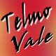 Imagem de Perfil de Telmo Vale 