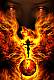 Imagem de Perfil de PhoenixPT 